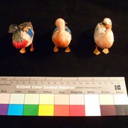 Cover image of Duck Toy, Animal